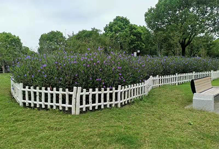 精仿白樺樹小柵欄