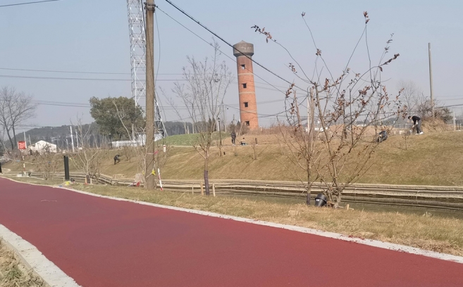 紅旗村美麗鄉村項目